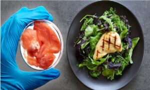 La tiránica y lucrativa guerra contra la comida