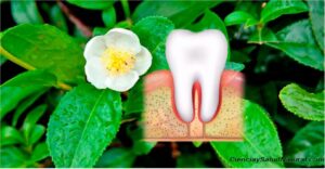 Tratamiento con hierbas tradicionales para los dientes y encias